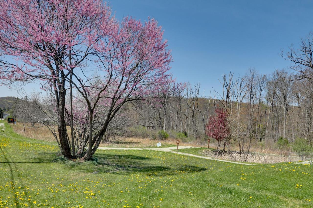 Pet-Friendly Pennsylvania Vacation Rental With Pool! Laughlintown Luaran gambar